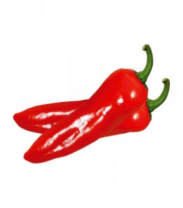 Kapya Biber