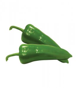 Yeşil Kapya Biber